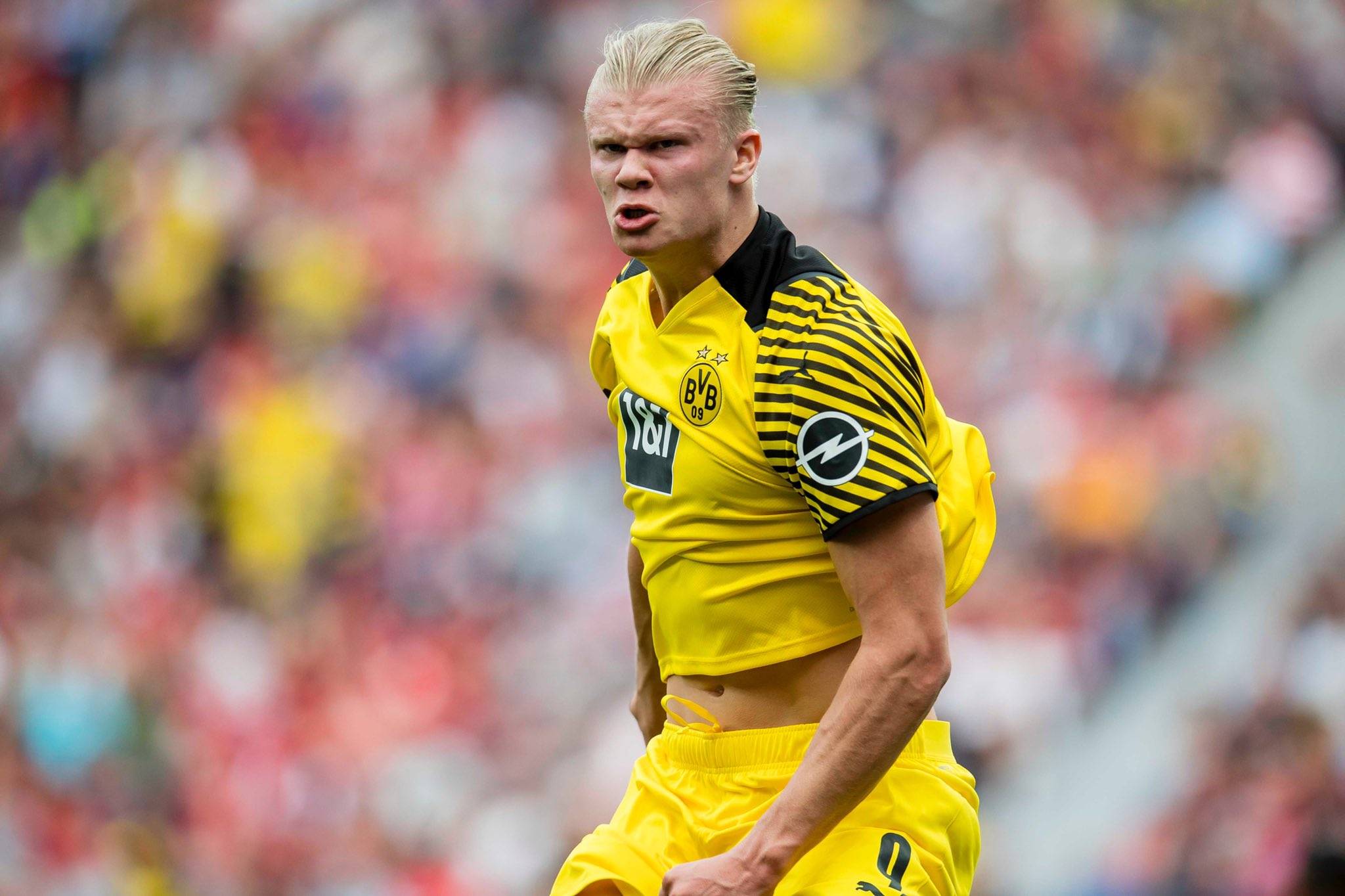 LPL Ale直播喷营销号带中上决裂节奏，却被营销号反喷像个文盲